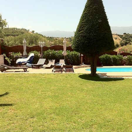 Villa Elofred Saint-Florent  Zewnętrze zdjęcie