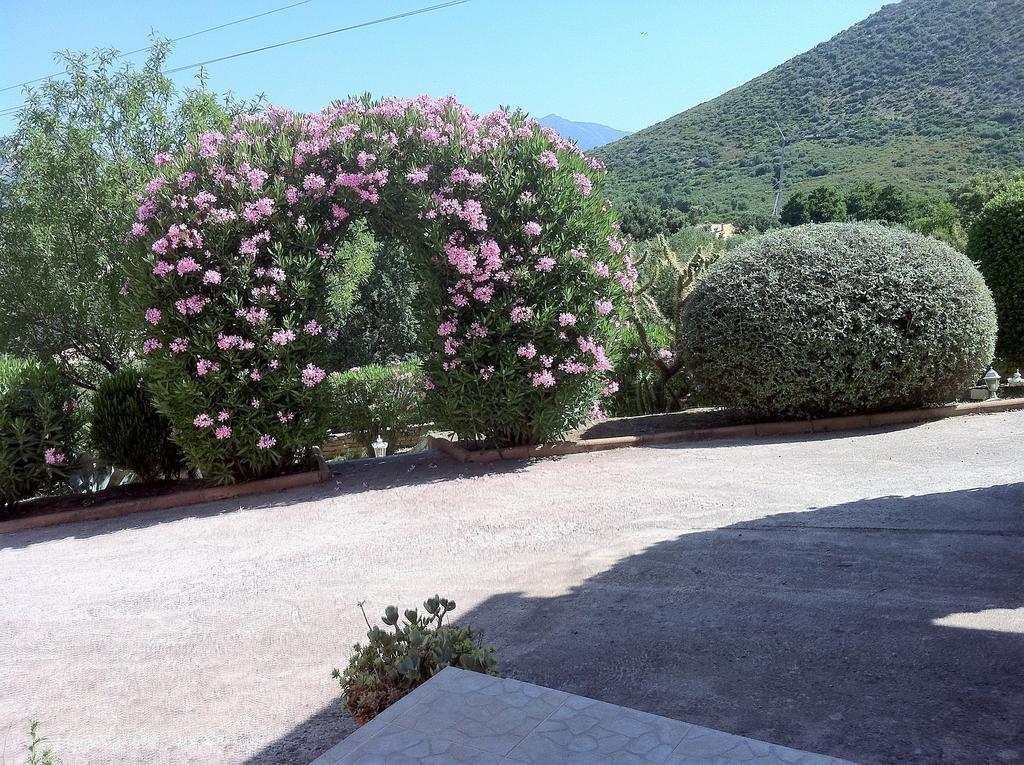 Villa Elofred Saint-Florent  Zewnętrze zdjęcie
