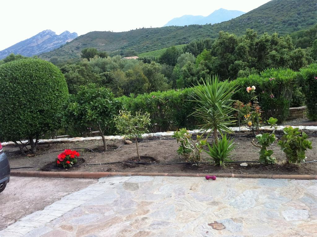 Villa Elofred Saint-Florent  Zewnętrze zdjęcie